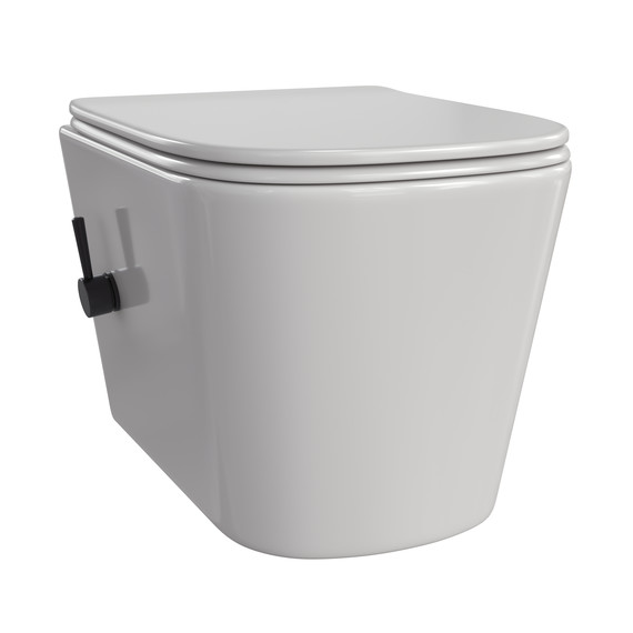 Унитаз-биде подвесной Taliente Correto CR25200 SMnero с крышкой микролифт фото 2