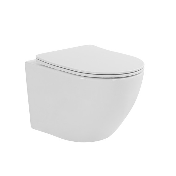 Унитаз подвесной безободковый Taliente Amato Esteso T3 AE65053 с крышкой микролифт (система смыва Торнадо) фото 2