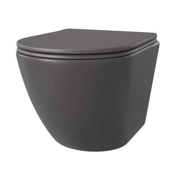 Унитаз подвесной безободковый Taliente Amato AM25010 Grigio с крышкой микролифт, серый, Цвет производителя: серый фото 2