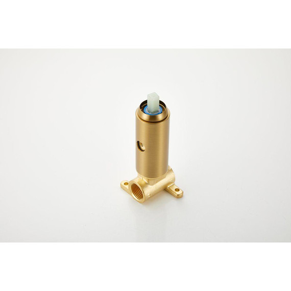 Набор для гигиенического душа Belz B55804-5 (со скрытой частью) золото матовое - 13 Набор для гигиенического душа Belz B55804-5 (со скрытой частью) золото матовое фото 13