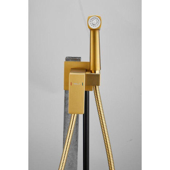 Набор для гигиенического душа Belz B55805-5 (со скрытой частью) золото матовое - 6 Набор для гигиенического душа Belz B55805-5 (со скрытой частью) золото матовое фото 6