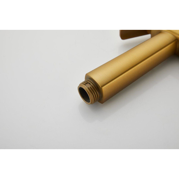 Набор для гигиенического душа Belz B55805-5 (со скрытой частью) золото матовое - 20 Набор для гигиенического душа Belz B55805-5 (со скрытой частью) золото матовое фото 20