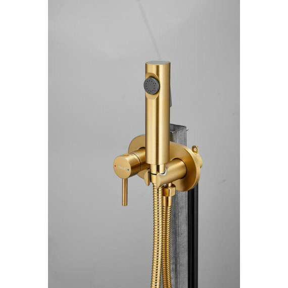 Набор для гигиенического душа Belz B55807-5 (со скрытой частью) золото матовое - 6 Набор для гигиенического душа Belz B55807-5 (со скрытой частью) золото матовое фото 6