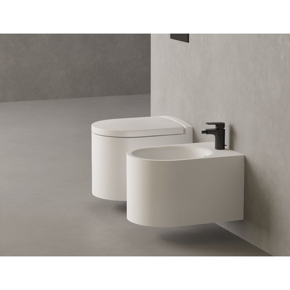 Унитаз подвесной безободковый Salini Gemelli 240121KMF с крышкой микролифт (S-Stone) RAL полностью фото 2