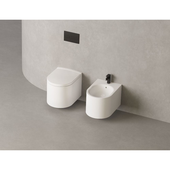 Унитаз подвесной безободковый Salini Gemelli 240121KMF с крышкой микролифт (S-Stone) RAL полностью фото 3