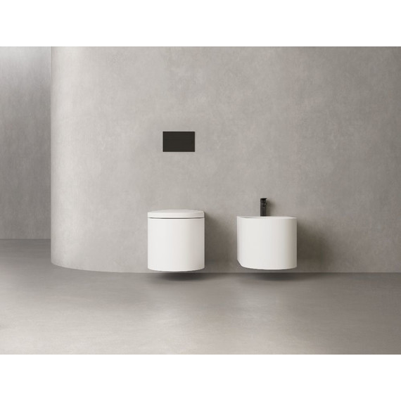 Унитаз подвесной безободковый Salini Gemelli 240121KMF с крышкой микролифт (S-Stone) RAL полностью фото 4