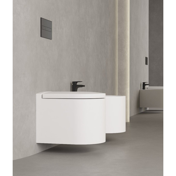 Унитаз подвесной безободковый Salini Gemelli 240121KMF с крышкой микролифт (S-Stone) RAL полностью фото 5