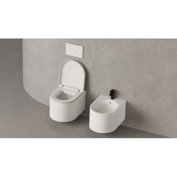 Унитаз подвесной безободковый Salini Gemelli 240121KSMF с крышкой микролифт (S-Stone) RAL полностью фото 7