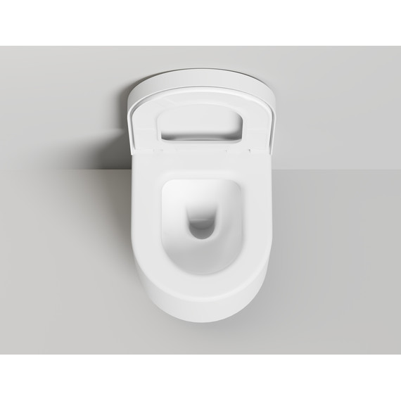 Унитаз подвесной безободковый Salini Gemelli 240121KSMF с крышкой микролифт (S-Stone) RAL полностью фото 3