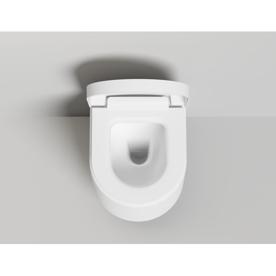 Унитаз подвесной безободковый Salini Gemelli 240121KSMF с крышкой микролифт (S-Stone) RAL полностью фото 4