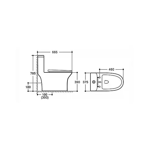 Унитаз-моноблок безободковый Azario Sente AZ-8614 с крышкой микролифт фото 19