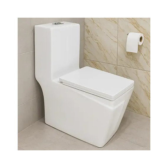 Унитаз-моноблок безободковый Azario RAYO AZ-6385 с крышкой микролифт - 10 Унитаз-моноблок безободковый Azario RAYO AZ-6385 с крышкой микролифт фото 10