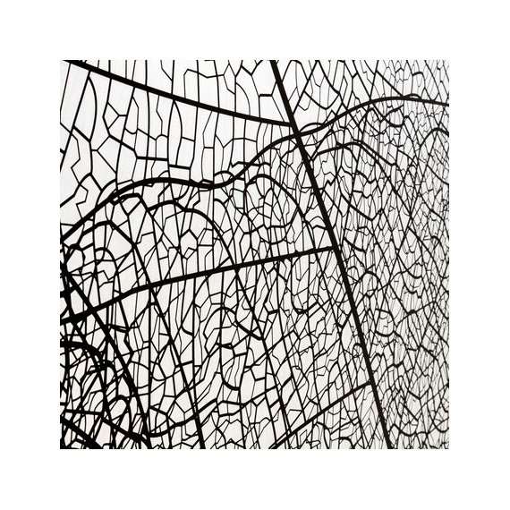 Душевая дверь Avacan (170-190) см FB2-170, чёрный/узор - 3 Душевая дверь Avacan (170-190) см FB2-170, чёрный/узор фото 3