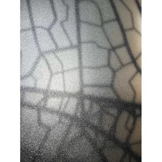 Душевое ограждение Avacan 100х100 см PB100MT, чёрный/матовое фото 6