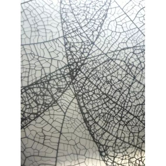 Душевое ограждение Avacan 100х100 см PB100MT, чёрный/матовое фото 5