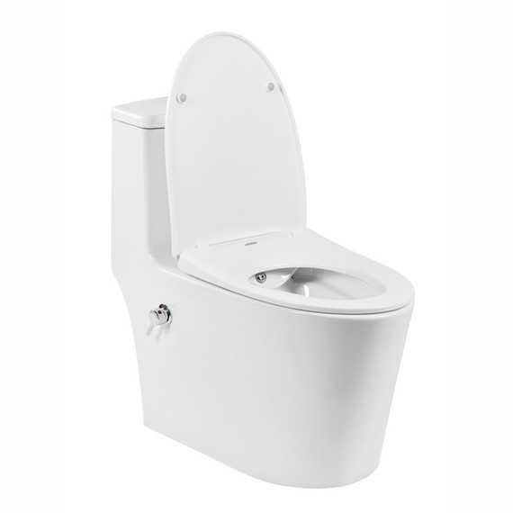 Унитаз-моноблок безободковый с функцией биде EvaGold EG050014 с тонкой крышкой микролифт - 4 Унитаз-моноблок безободковый с функцией биде EvaGold EG050014 с тонкой крышкой микролифт фото 4