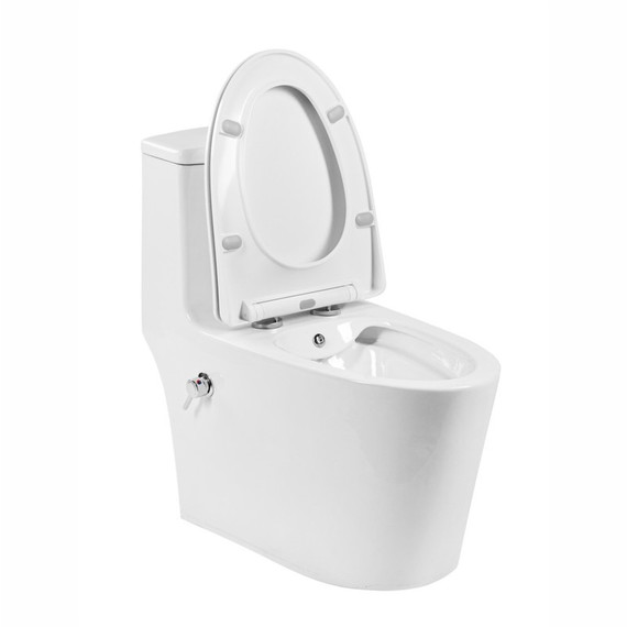 Унитаз-моноблок безободковый с функцией биде EvaGold EG050014 с тонкой крышкой микролифт - 5 Унитаз-моноблок безободковый с функцией биде EvaGold EG050014 с тонкой крышкой микролифт фото 5