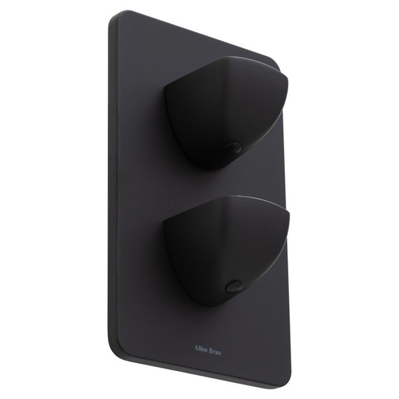 Смеситель для душа с термостатом Allen Brau Infinity 5.21116-31 (со скрытой частью) чёрный матовый фото 3