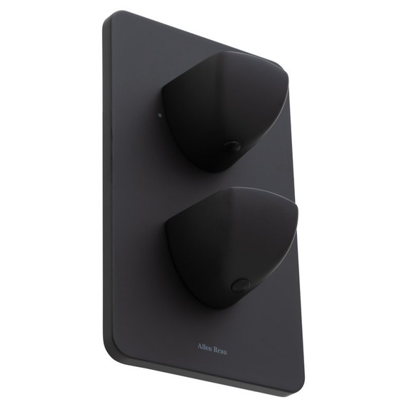 Смеситель для ванны с термостатом Allen Brau Infinity 5.21216-31 (со скрытой частью) чёрный матовый фото 3