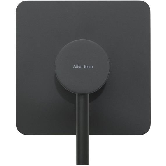 Смеситель для душа Allen Brau Priority X1 5.31012-31 (со скрытой частью) чёрный матовый фото 2