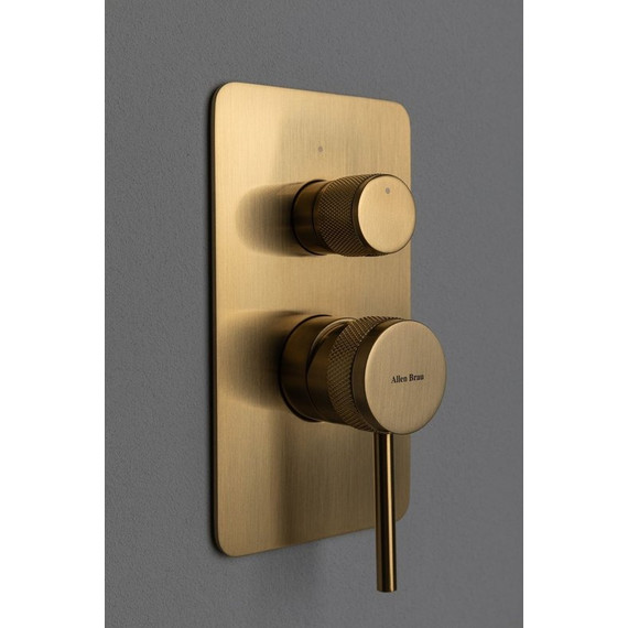 Смеситель для душа Allen Brau Priority 5.31011-GB (со скрытой частью) золото фото 4