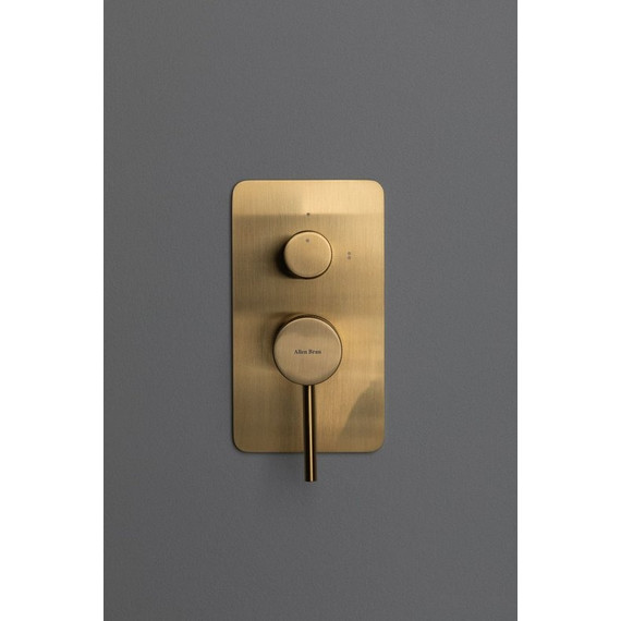 Смеситель для душа Allen Brau Priority 5.31011-GB (со скрытой частью) золото фото 5