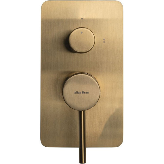 Смеситель для душа Allen Brau Priority 5.31011-GB (со скрытой частью) золото фото 2