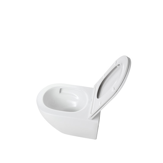 Унитаз подвесной безободковый Taliente Altamarea T3 AL65003 с крышкой микролифт (система смыва Торнадо) фото 4