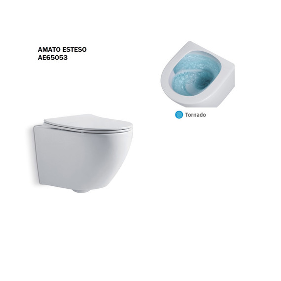 Унитаз подвесной безободковый Taliente Amato Esteso T3 AE65053 с крышкой микролифт (система смыва Торнадо) фото 5
