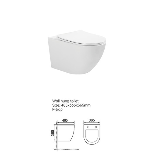 Унитаз подвесной безободковый Taliente Amato Vortex AM45005 с крышкой микролифт (система смыва Торнадо) фото 5