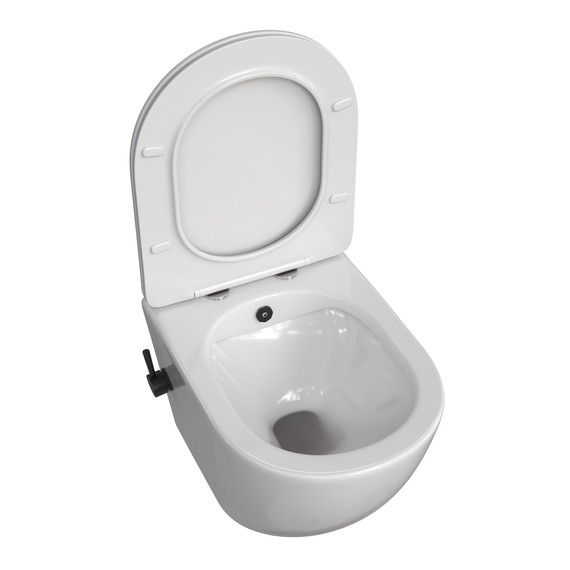 Унитаз-биде подвесной Taliente Amato AM25010 SMnero с крышкой микролифт фото 3