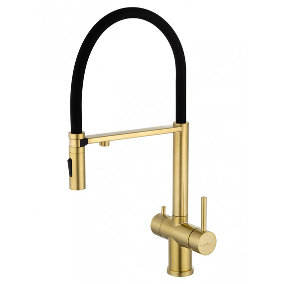 Смесители для кухни Wonzon & Woghand WW-88458009-BG, золото фото 