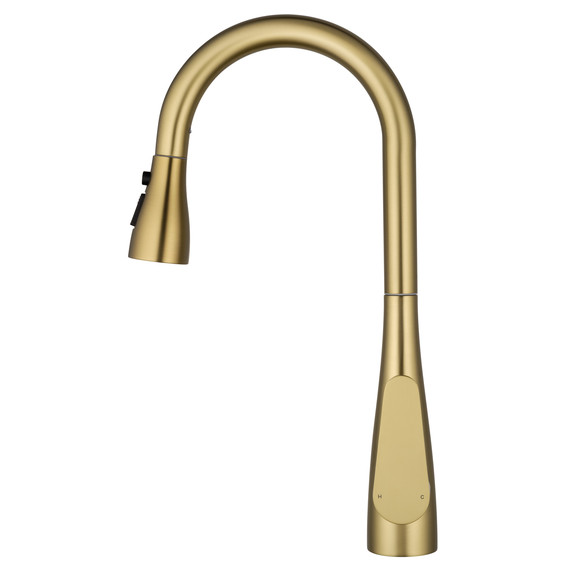 Смесители для кухни Wonzon & Woghand WW-121E201B-BG, золото фото 3