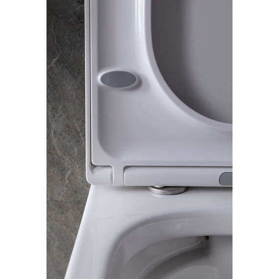 Унитаз подвесной безободковый Allen Brau Infinity 4.21004.20 с крышкой микролифт фото 22