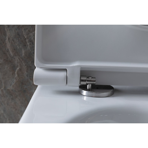 Унитаз подвесной безободковый Allen Brau Reality 4.32006.20 с крышкой микролифт фото 8