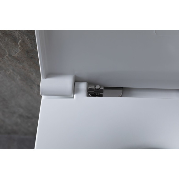 Унитаз подвесной безободковый Allen Brau Reality 4.32006.20 с крышкой микролифт фото 9