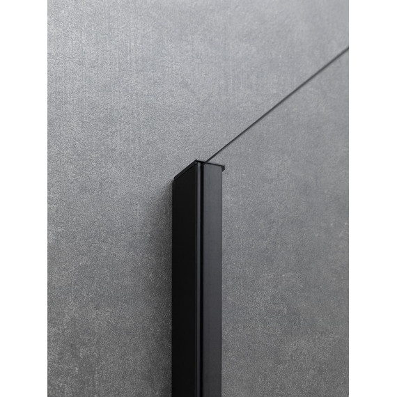 Душевая дверь Allen Brau Priority 160 см 3.31039.BBA (стекло 8 мм) чёрный/прозрачное фото 13