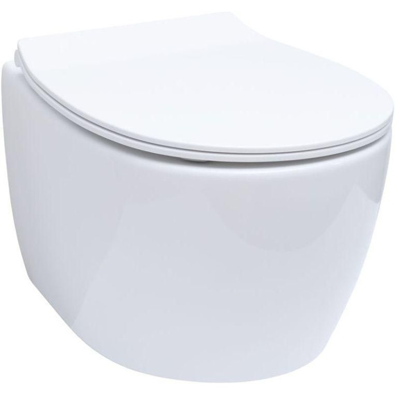 Унитаз приставной безободковый Allen Brau Fantasy 4.11004.20 с тонкой крышкой микролифт фото 