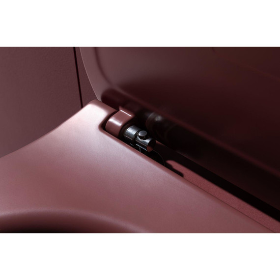 Унитаз приставной безободковый Allen Brau Fantasy 4.11004.BD с тонкой крышкой микролифт, бордо фото 14