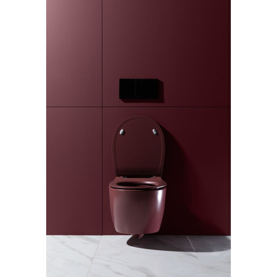 Унитаз приставной безободковый Allen Brau Fantasy 4.11004.BD с тонкой крышкой микролифт, бордо фото 20