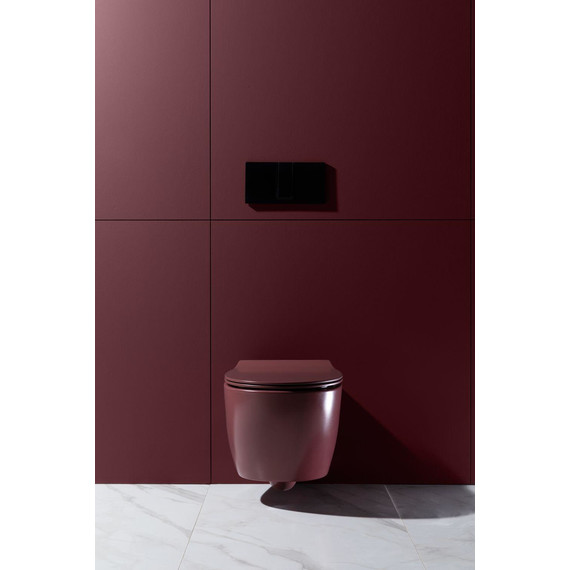 Унитаз приставной безободковый Allen Brau Fantasy 4.11004.BD с тонкой крышкой микролифт, бордо фото 21