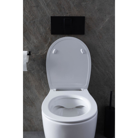 Унитаз приставной безободковый Allen Brau Fantasy 4.11007.20 с тонкой крышкой микролифт фото 23