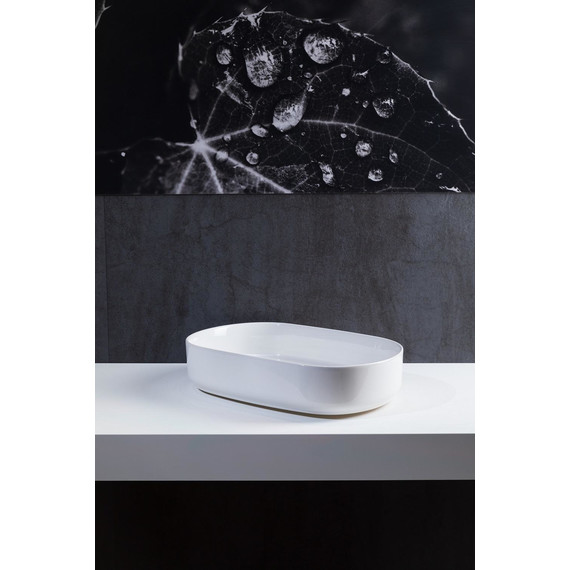 Раковина-чаша Allen Brau Fantasy 55 см 4.11022.20 фото 7