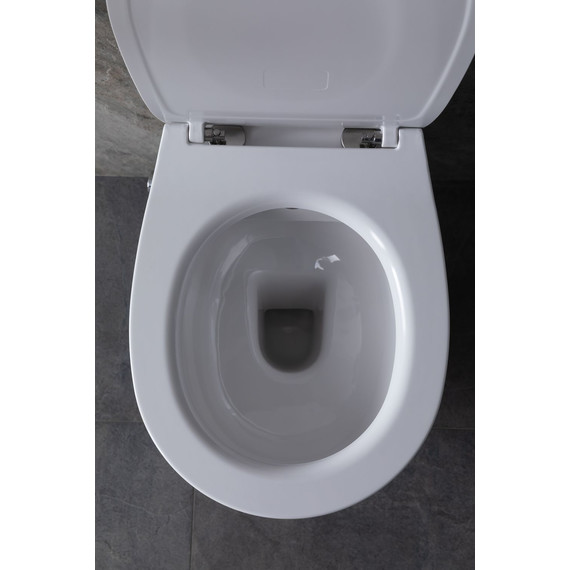 Унитаз-биде подвесной безободковый Allen Brau Fantasy 4.11HC1.20 с тонкой крышкой микролифт фото 22