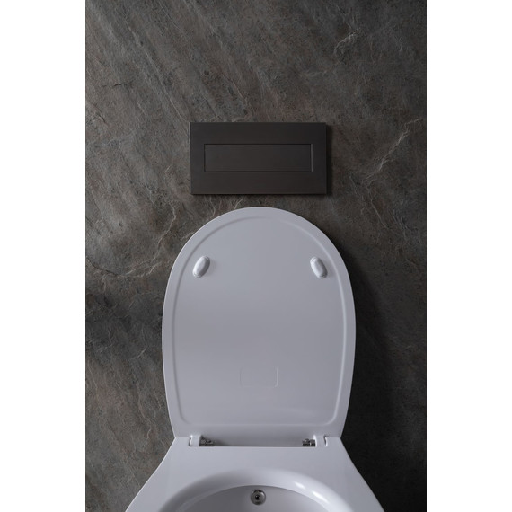 Унитаз-биде подвесной безободковый Allen Brau Fantasy 4.11HC1.20 с тонкой крышкой микролифт фото 24