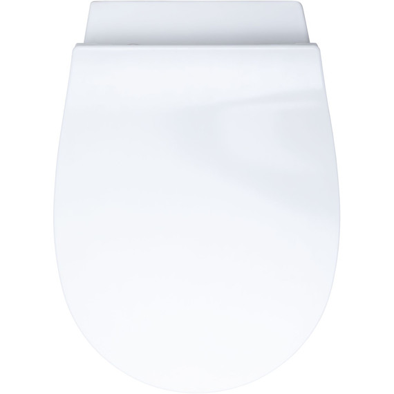 Унитаз-биде подвесной безободковый Allen Brau Fantasy 4.11HC1.20 с тонкой крышкой микролифт фото 9