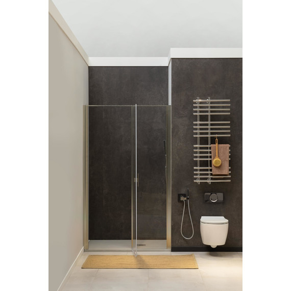 Душевая дверь Allen Brau Priority 90 см 3.31002.BA, серебро/прозрачное фото 7