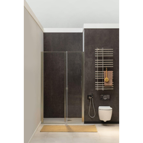 Душевая дверь Allen Brau Priority 120 см 3.31008.BA, серебро браш/прозрачное фото 3