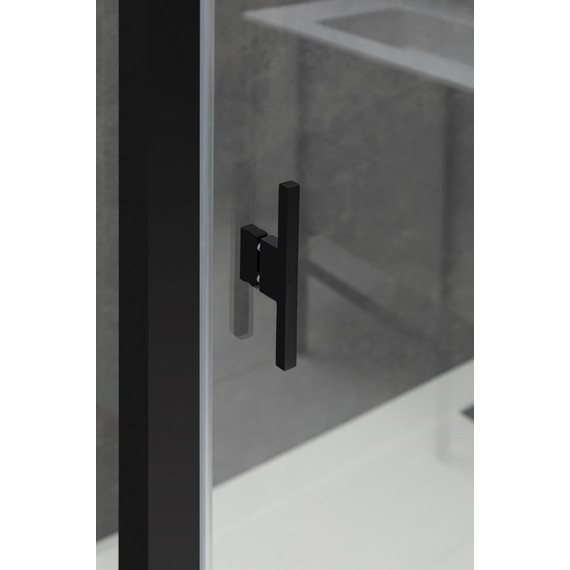 Душевая дверь Allen Brau Priority 120 см 3.31009.BBA, чёрный браш/прозрачное фото 6