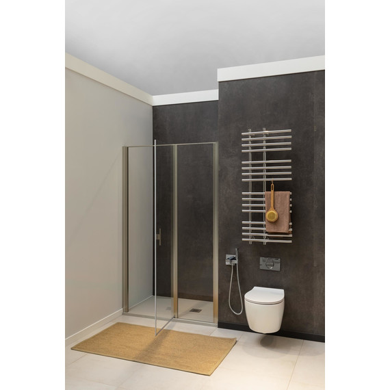 Душевая дверь Allen Brau Priority 90 см 3.31026.BA (стекло 8 мм) серебро браш/прозрачное фото 9